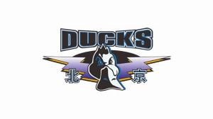 开云体育下载-北京男篮安排了相关人员观看NBA夏联 对心仪的外援进行了考察